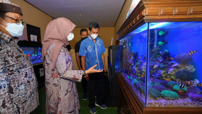 Banyuwangi Pacu Ekonomi Kreatif Dengan Menggelar Aquarium Expo 2021