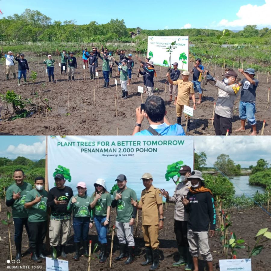 BCA Bersama Pemdes Wringinputih Tanam 2000 Pohon di Teluk Pangpang
