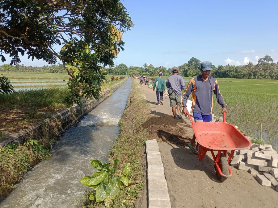 Berkat Swadaya Masyarakat dan Kades Watukebo Kegiatan Pavingisasi Dikerjakan