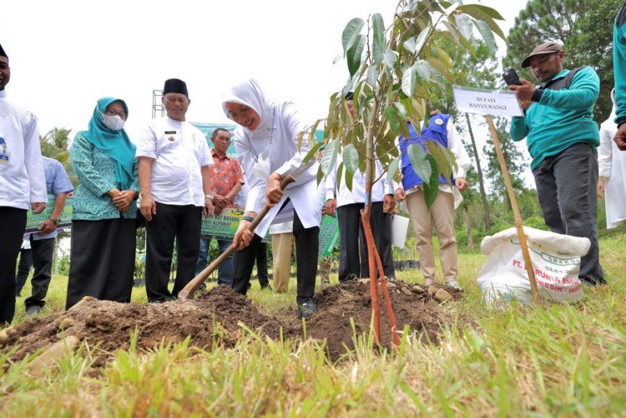 Bupati Banyuwangi Ipuk Fiestiandani Bagikan 32 Ribu Bibit Tanaman Kepada Kelompok Tani