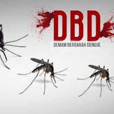 DBD Meningkat, Banyuwangi Masuk dalam Tahap Waspada