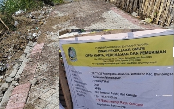 Diduga di Jadikan Lahan Penghasilan Tahunan,Pekerjaan Pavingisasi di Desa Watukebo Amburadul