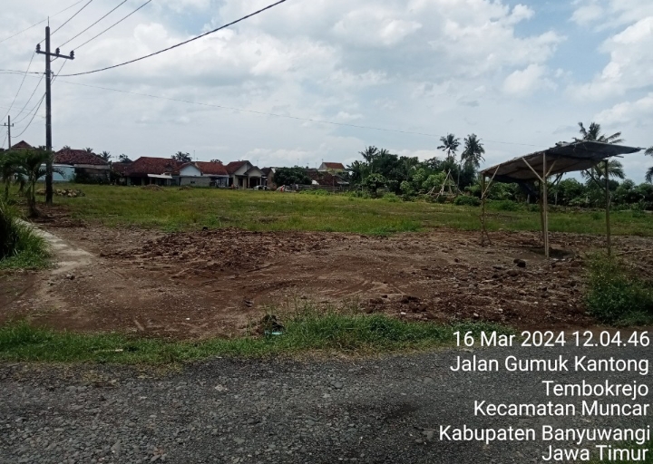 Diduga Lahan Sawah Dilindungi Beralih Fungsi, Camat Muncar Terkesan Bungkam