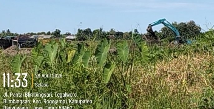Diduga Tambang Ilegal di DusunPatoman Watukebo Blimbingsari Banyuwangi, Formasi: APH Tak Berdaya