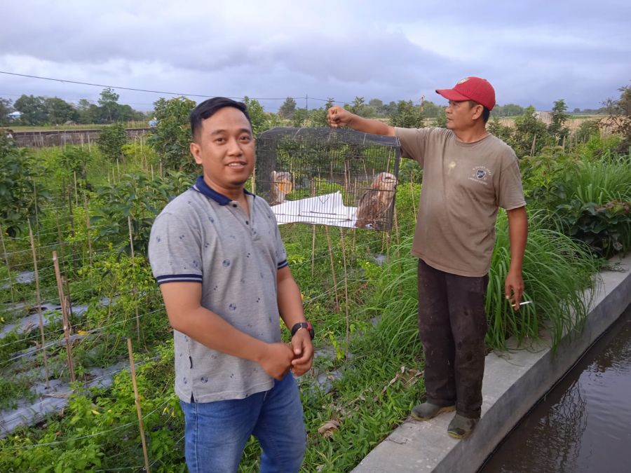 Dinas Pertanian Melalui FOSKAPDA Berikan Bantuan Burung Pemakan Hama Ke Petani