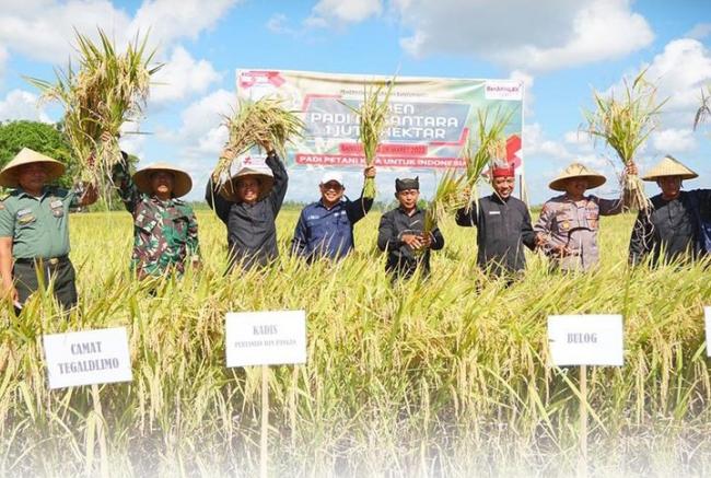 Disperta Banyuwangi Lakukan Panen Raya Padi di Poktan Mugi Rahayu Desa Kedungsari