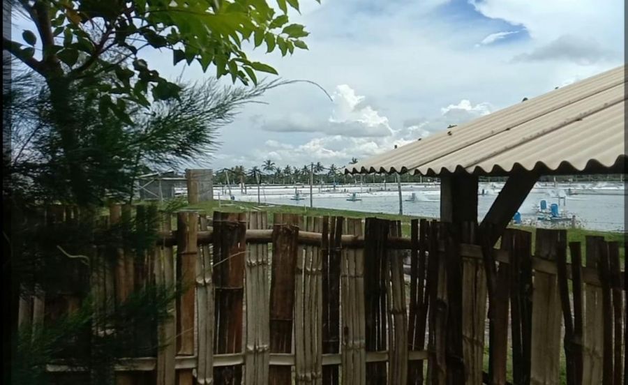 FRB dan LSM Pecari Adukan Pencemaran Limbah Tambak di Desa Sukojati ke DLH Banyuwangi