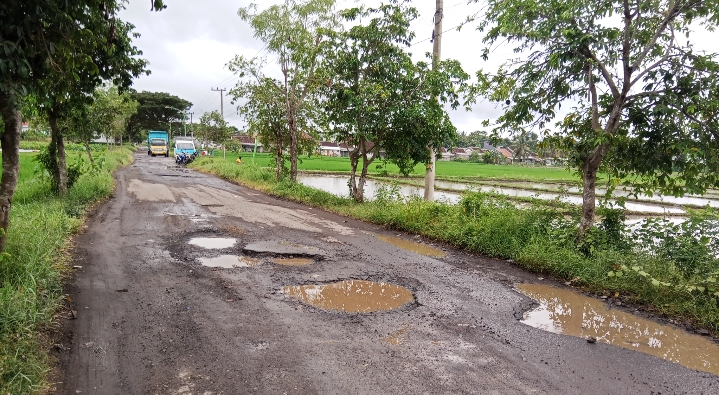 Kurangnya Lirikan Pemerintah Banyuwangi, Jalan di Wilayah Desa Rogojampi Penuh Kolam Ikan