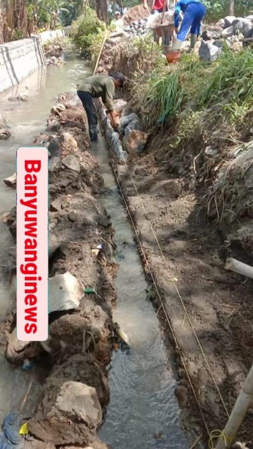 Pembangunan Jaringan Irigasi DSN Kramatagung Desa Kaligung Perlu Pengawasan Dari Dinas.