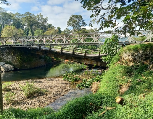 Pemkab Banyuwangi Segera Bangun Jembatan Sementara untuk Roda Empat di Sungai Lembu Pesanggaran