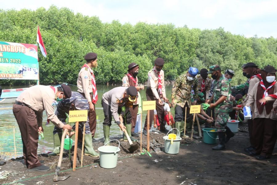 Penanaman Mangrove Bersama 16 Kota Lain di Jawa timur