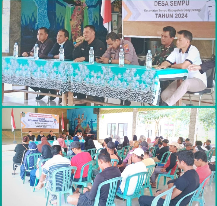 Ratusan Ekor Ayam di Pendopo Desa Sempu Banyuwangi