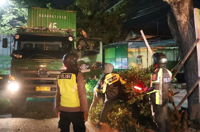 Respon Cepat; Polresta Banyuwangi Lakukan Evakuasi Pohon Tumbang Di Jalan Wilayah Kalipuro