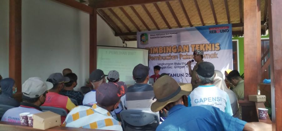 Terobosan Inovasi Dinas Pertanian Dan Pangan Untuk Peternak