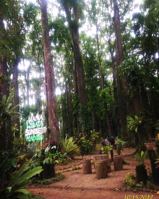 Tidak Pernah Ada Bantuan  Dana dari Pemeritah, Tepat Wisata Sumber Manis Tetap Indah