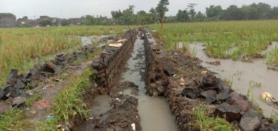 Pembangunan Jaringan Irigasi di Dusun Cawang Diduga Tidak Mementingakan Kualitas Bangunan